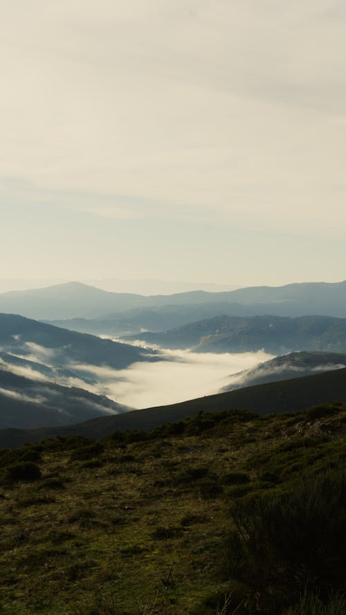 Free stock photo of dawn, foggy morning, mountains