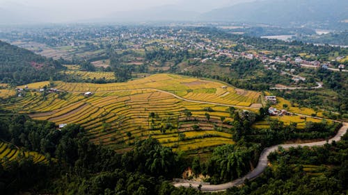 An Aerial Shot of Rice Terraces