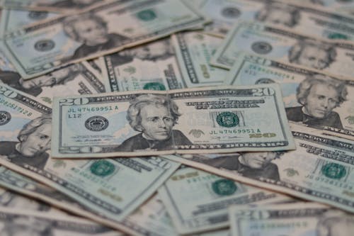 Free A Pile of Dollar Bills  Stock Photo