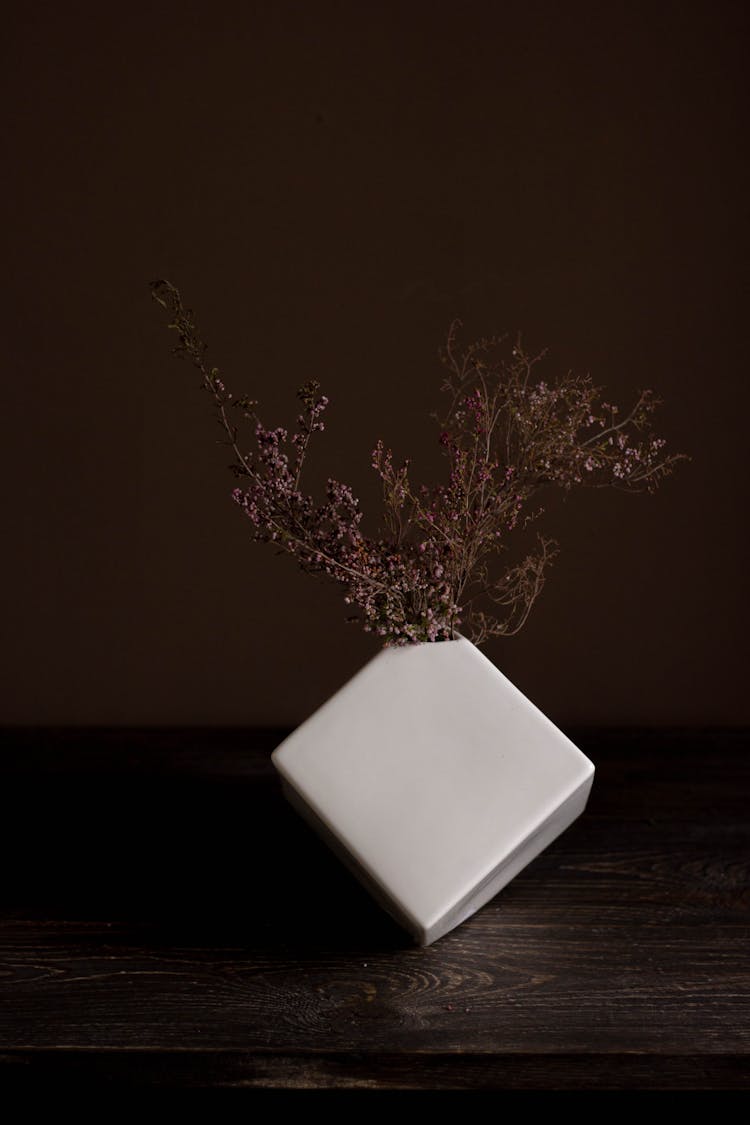 Flower In White Box