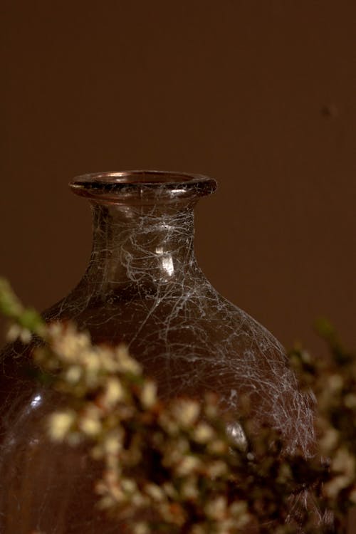 Close-up of Glass Vase