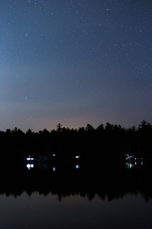 ağaçlar, doğa, gece içeren Ücretsiz stok fotoğraf