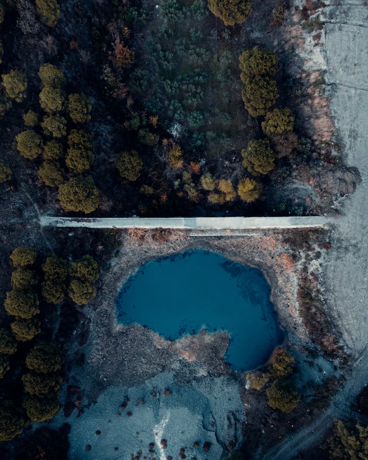 Aerial View Of Dam Separating Forest And Lake