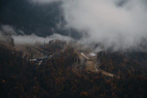 Aerial View of a Foggy Mountain Forest