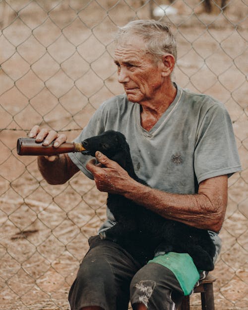 Gratis stockfoto met beest, bejaarde man, dieren in gevangenschap Stockfoto
