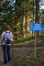 Back View of a Person with White and Gray Backpack Walking with a Stick in the Woods