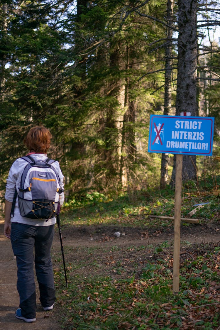 Back View Of A Person With White And Gray Backpack Walking With A Stick In The Woods