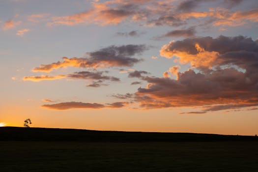 A serene image capturing a warm, orange sunset sky over a lush green grassland.