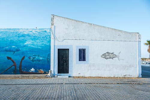 balık, bina, duvar içeren Ücretsiz stok fotoğraf