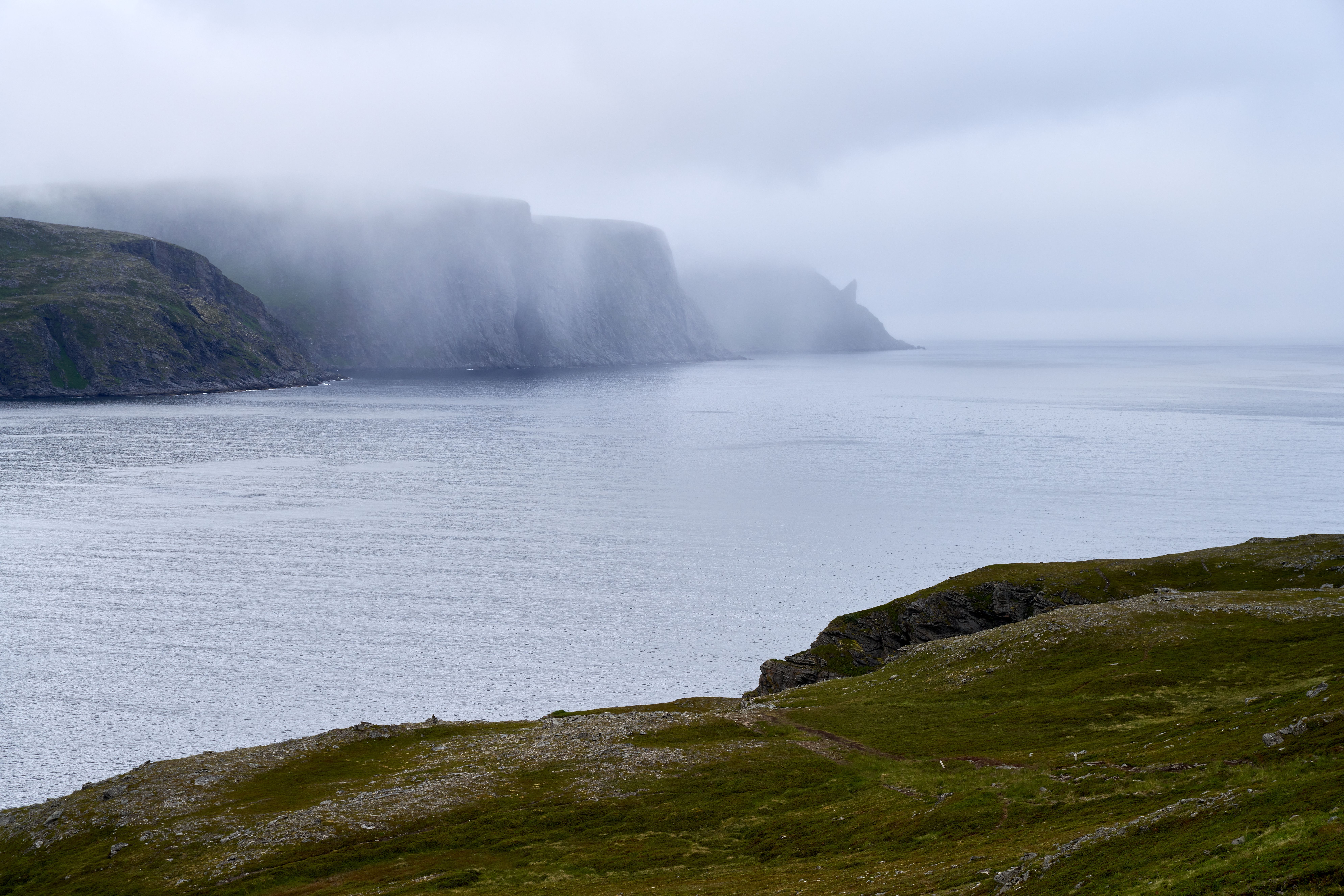 Coastline Cut project still — photo by Barnabas Davoti on Pexels