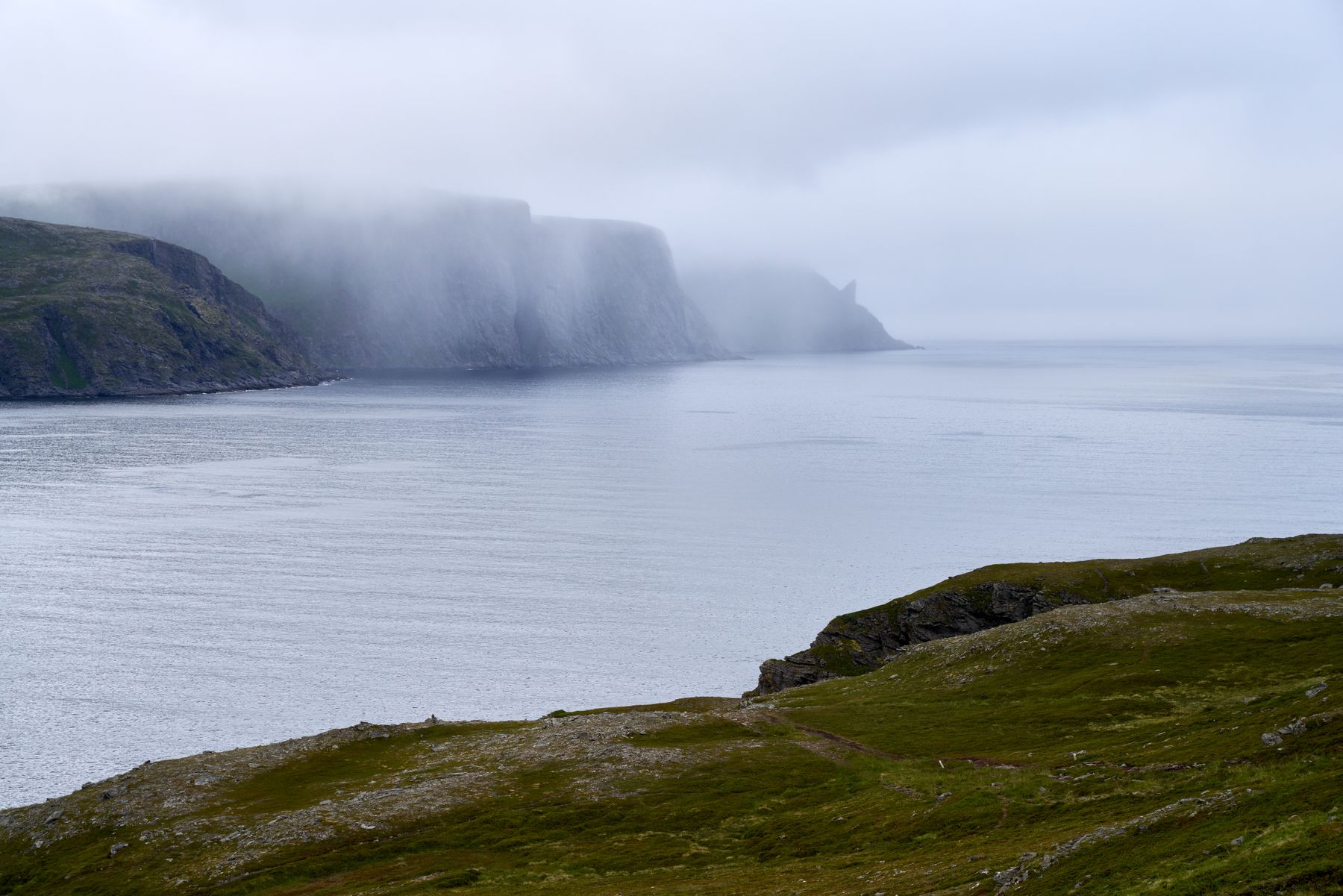 Fog rolling in over sea cliffs