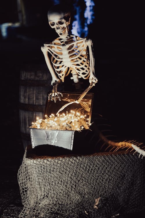 Free A Skeleton Looking at a Chest Box Stock Photo