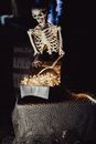 A Skeleton Looking at a Chest Box