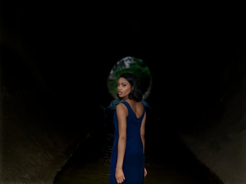 Бесплатное стоковое фото с афро-американка, взгляд назад, синее платье
