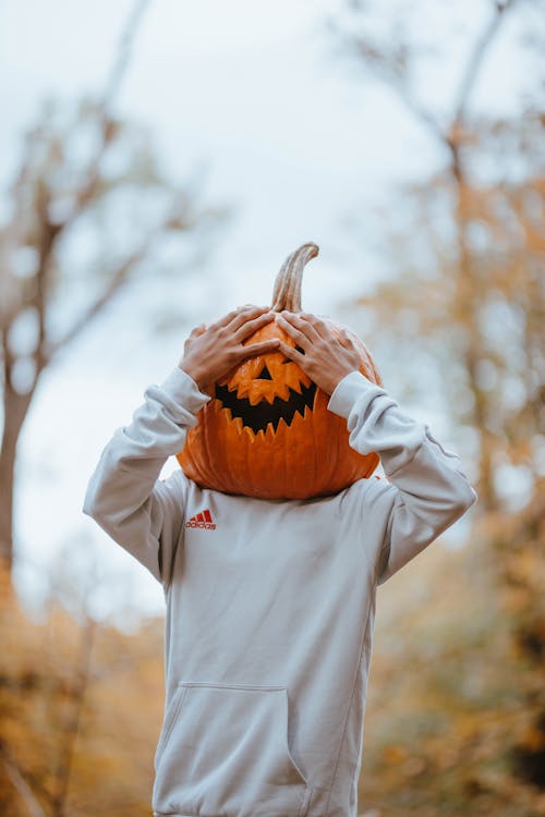 かぼちゃ, パーカー, ハロウィンの無料の写真素材