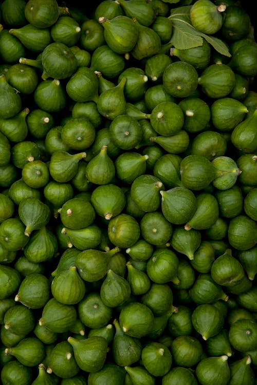 Photo of Green Figs