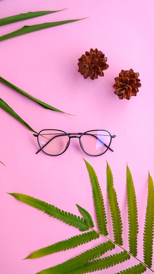 Pine Nuts Near Fern Leaves and Eyeglasses