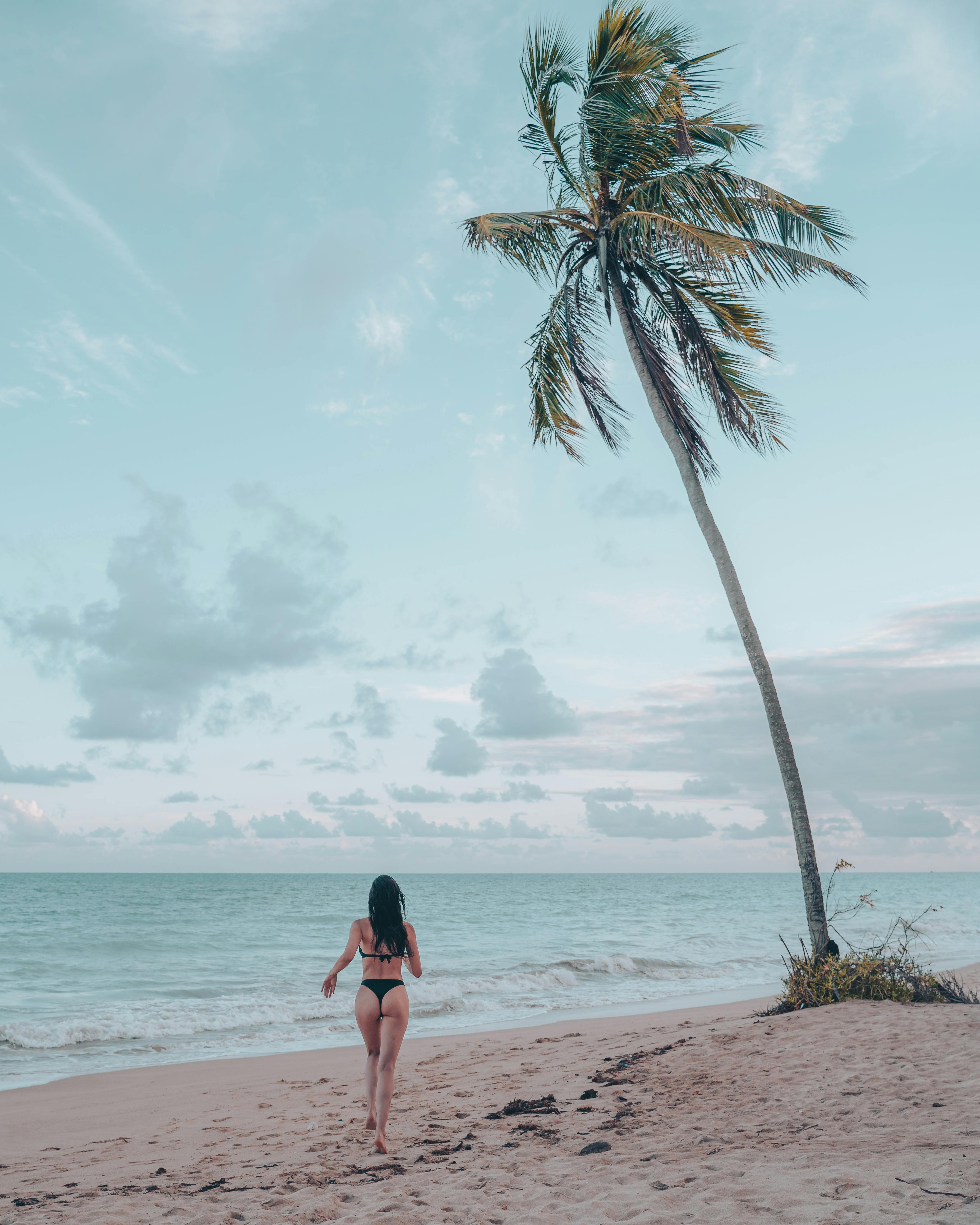 一个女人沿着一个宁静的热带海滩与孤独的棕榈树和广阔的海景运行