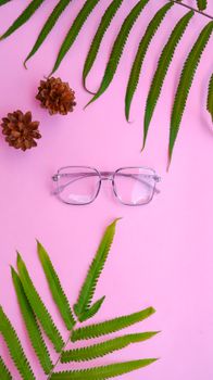 Flat lay of eyeglasses with ferns and pine cones on pink background, ideal for creative design projects.