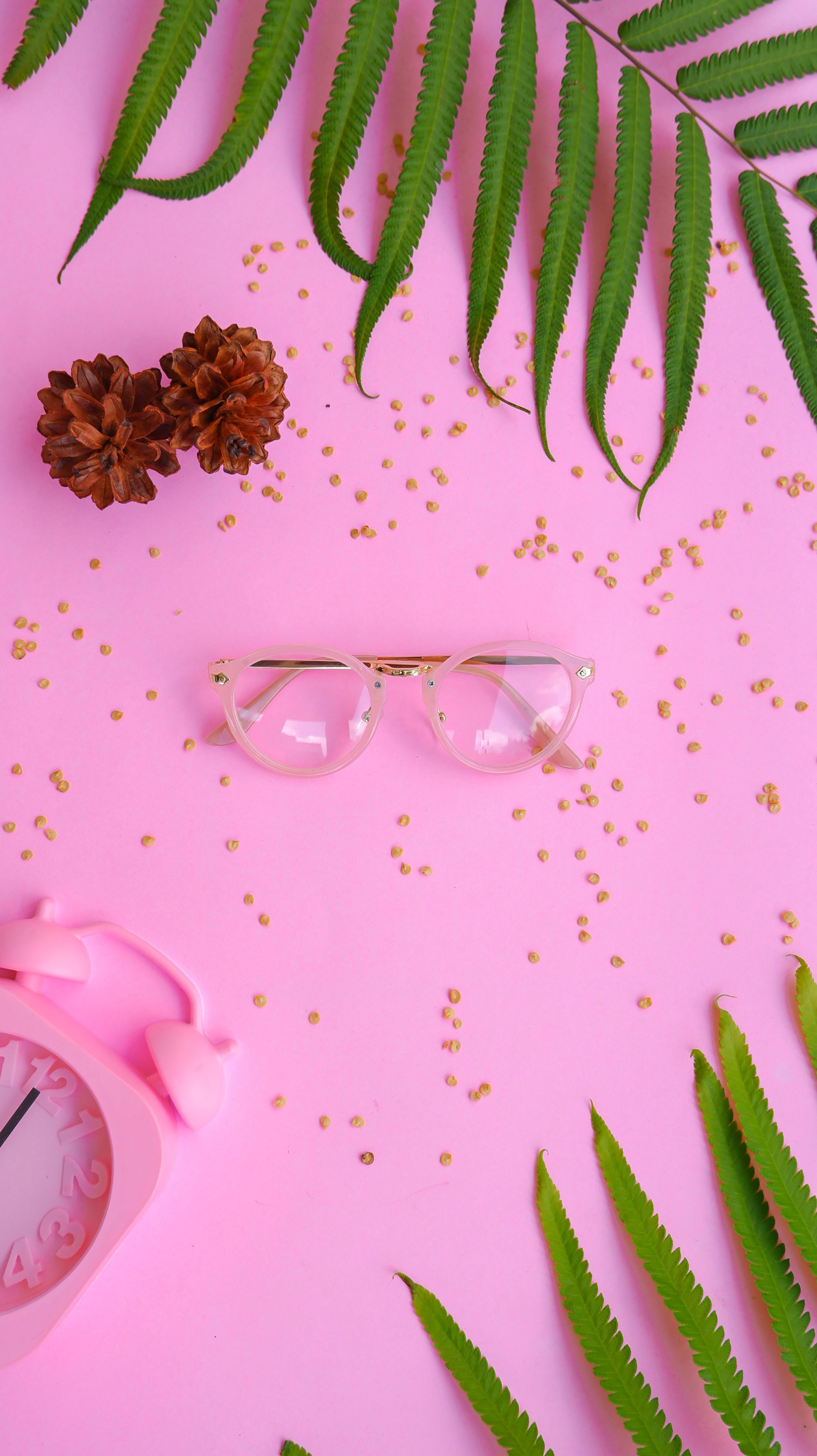 Aesthetic flatlay of eyeglasses, fern leaves, and a pink alarm clock on a pink background.