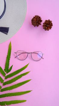 Elegant arrangement of eyeglasses, hat, and pinecones on pink background.