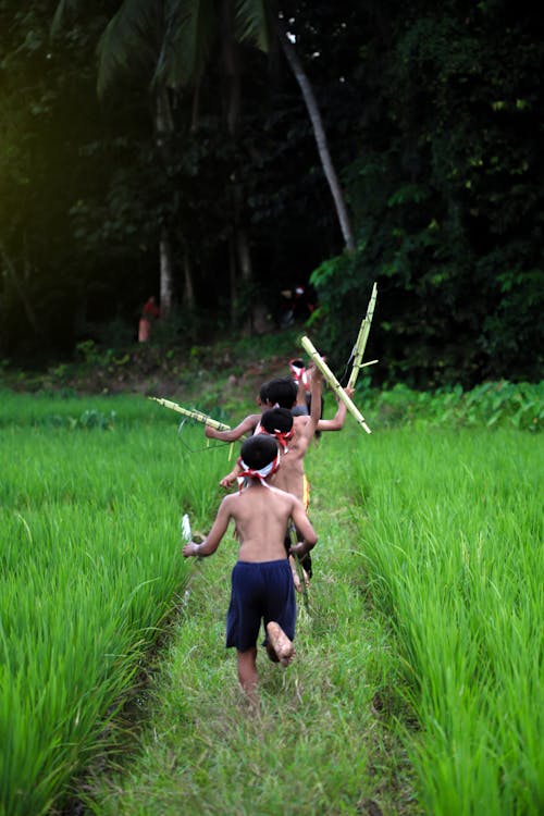 Kids Playing on Grassland