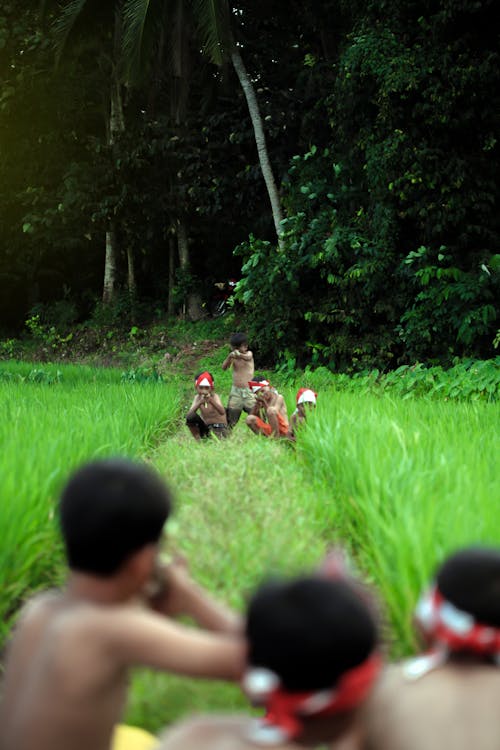 Photo of Boys Sitting on Green Grass Field