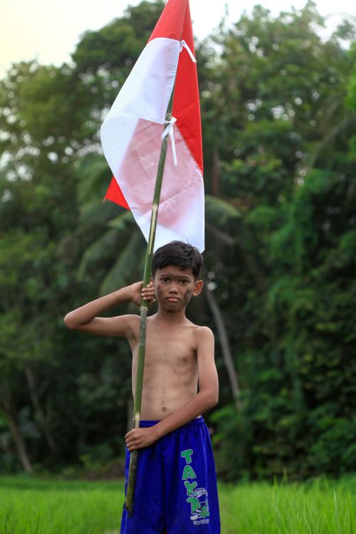Free A boy stands in a lush green field holding a red and white flag on a bamboo pole. Stock Photo