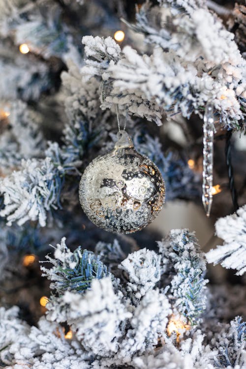 Free Silver Bauble on Tree With Snow Stock Photo
