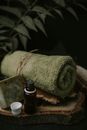 Towel, Soap and Bottle on Tree Trunk Tray