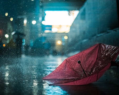 Foto profissional grátis de andar, chuva, guarda-chuva