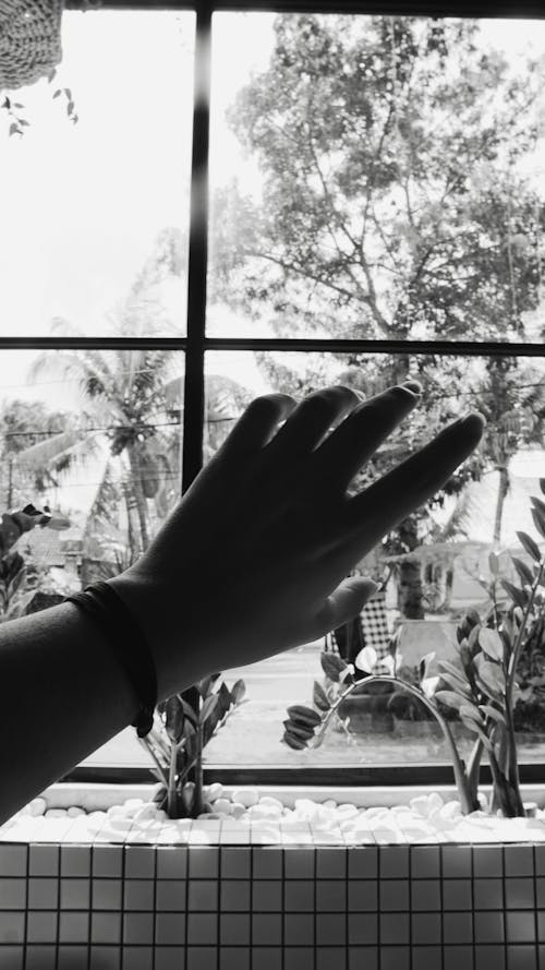 Free stock photo of aesthetic, black and white, hand