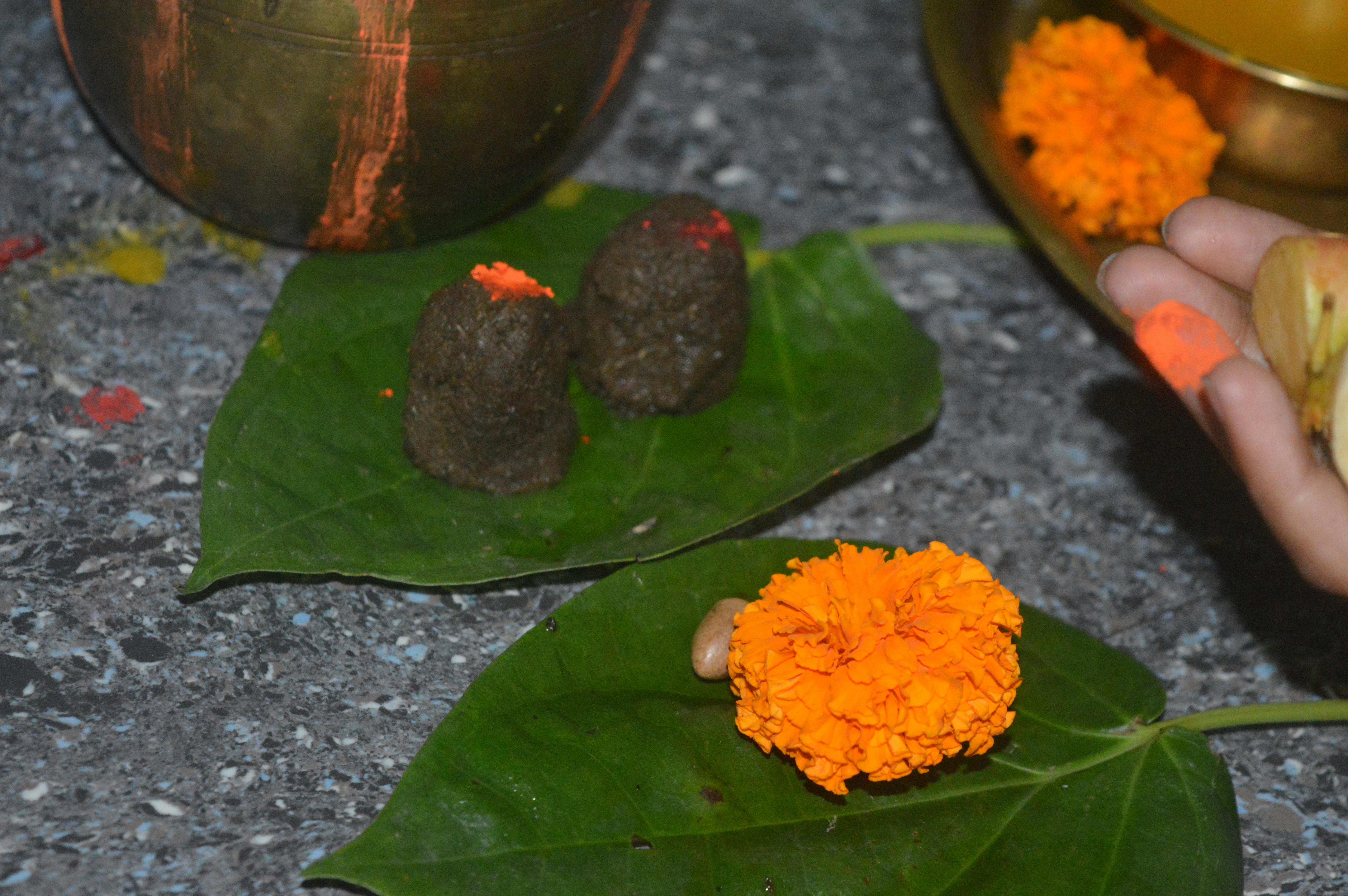 Free stock photo of bihar, celebrated, chitragupta