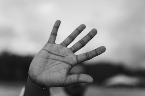 Grayscale Photography of Hand · Free Stock Photo