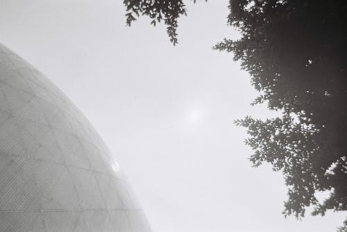 Darmowe zdjęcie z galerii z budynek od zewnątrz, czarno-biały, drzewo