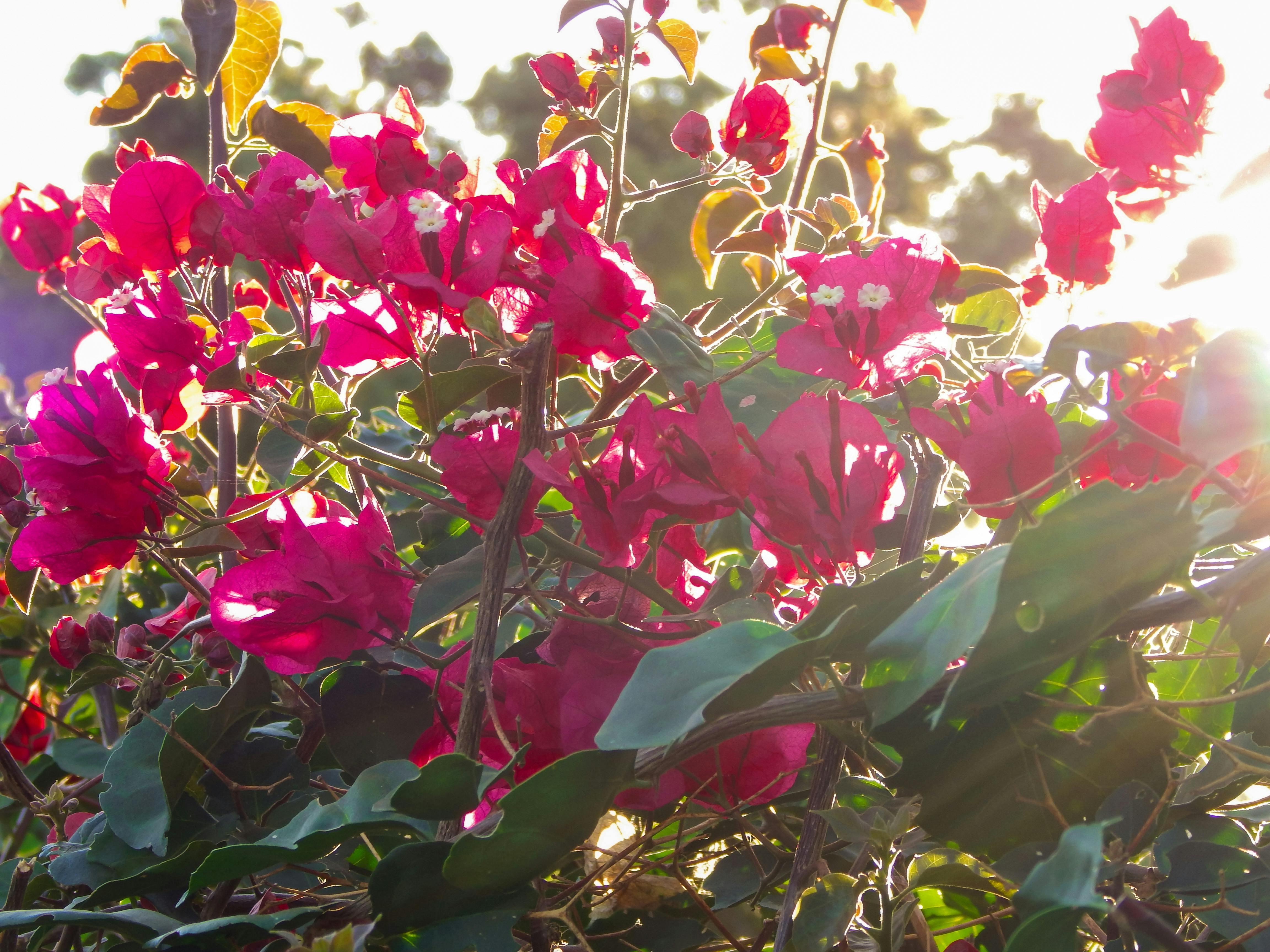 Brandschutz Technik S&D