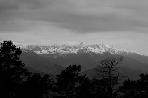 Free Grayscale Photo of Mountains and Trees Stock Photo
