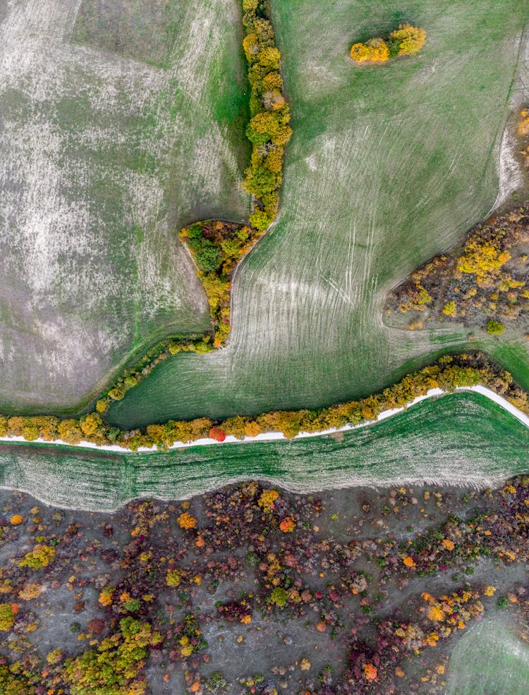 Aerial Photo Of Farmland and Wasteland In Autumn Colors