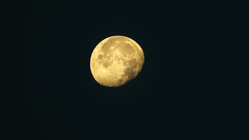 Бесплатное стоковое фото с Аполлон, Астрология, Астрономия