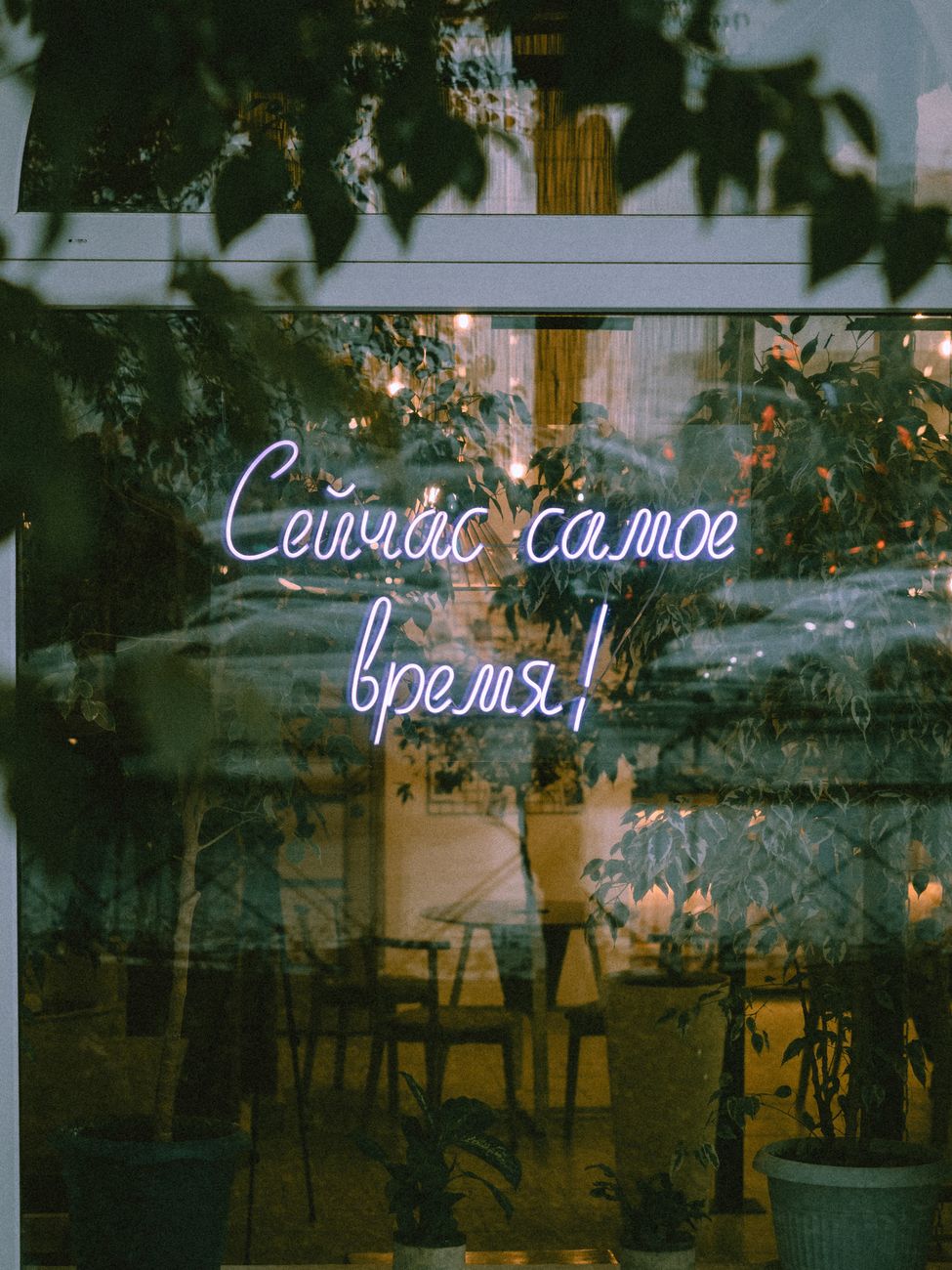 Neon sign in Cyrillic script in a window with greenery reflecting, creating a cozy atmosphere.