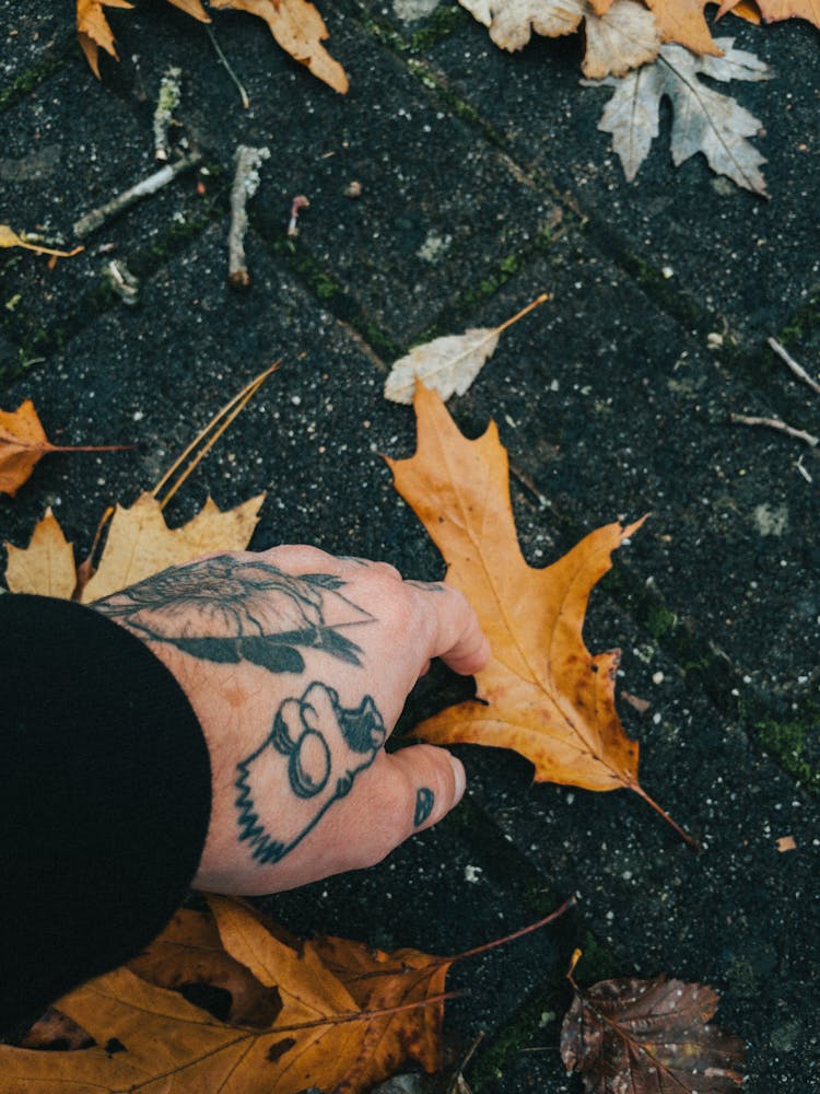 A Person With Hand Tattoo Getting A Brown Leaf On Ground