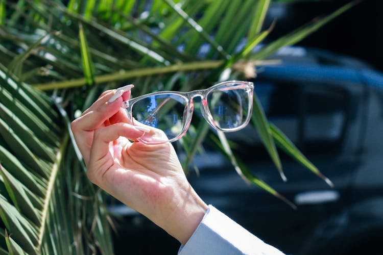 Hand Holding Glasses