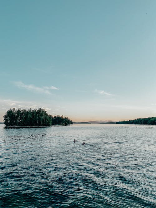 People Swimming in a Lake 