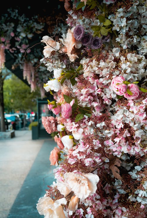 Foto d'estoc gratuïta de flor, flors, flors de carrer