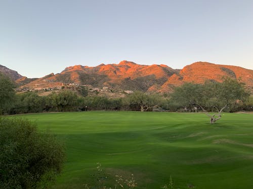 Free stock photo of arizona, desert, golf club Stock Photo