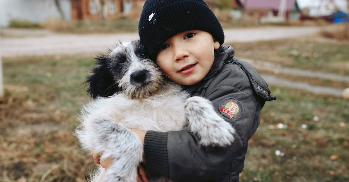How to draw a boy anime face