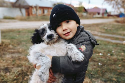 Free A young boy warmly embraces a fluffy dog in an outdoor setting during autumn. Stock Photo