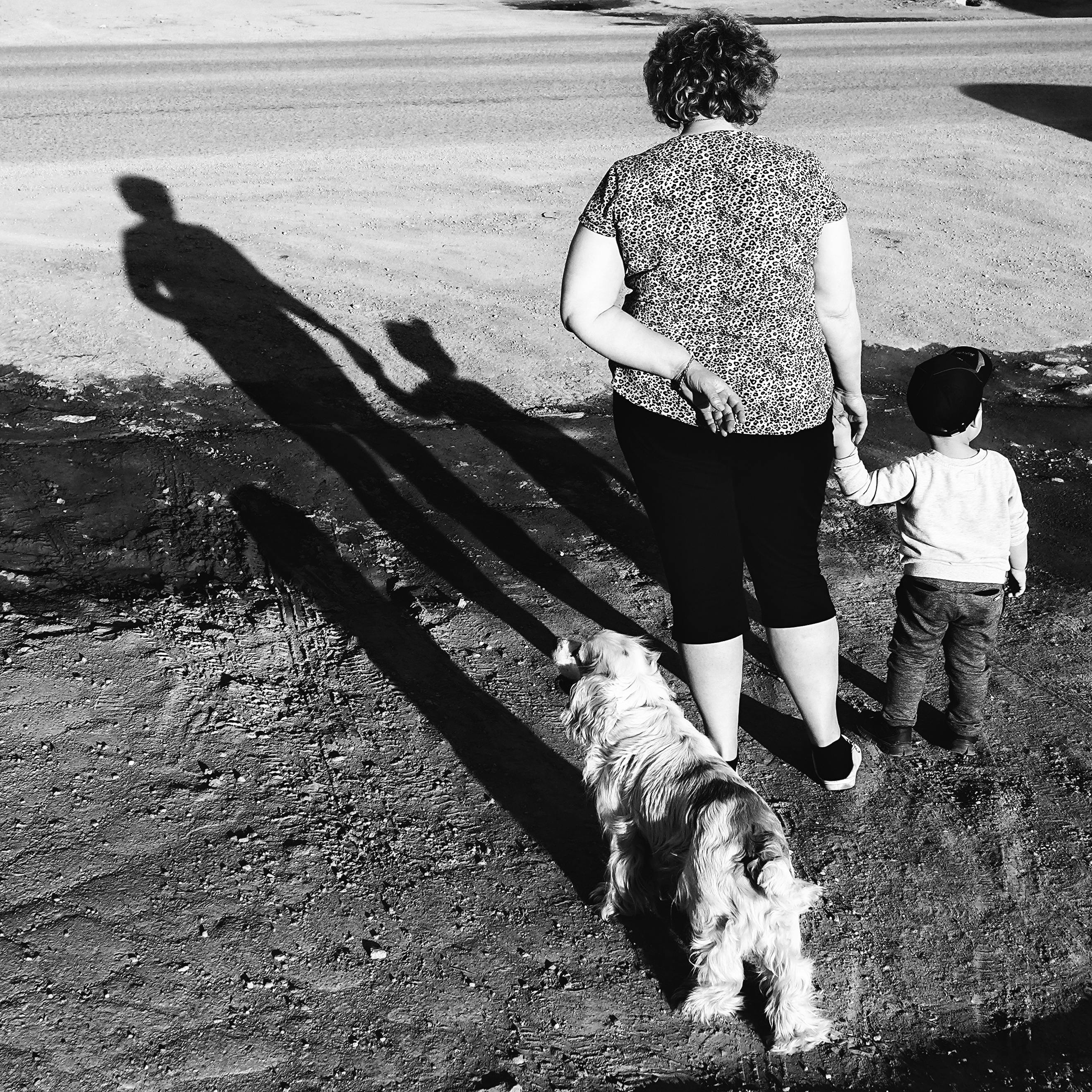 Black and white photo of a woman, child, and dog casting long shadows outdoors.