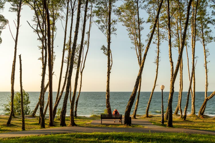 Person Sitting On Bench Overlooking Sea