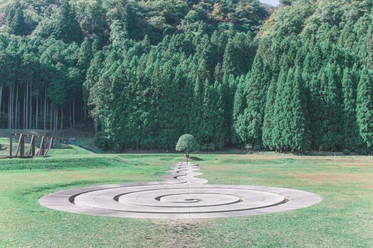 Captivating spiral artwork surrounded by lush green forest in outdoor setting.